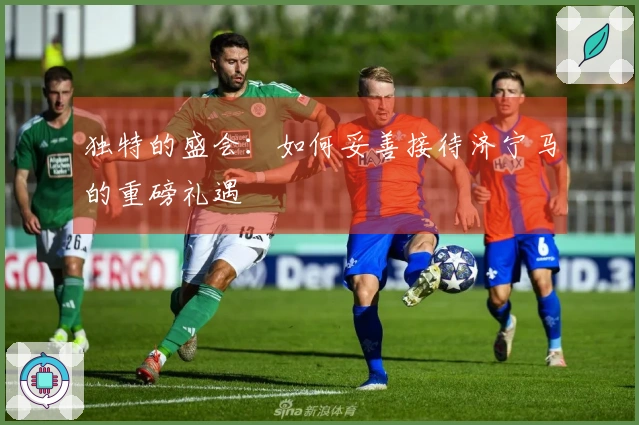 独特的盛会：如何妥善接待济宁马的重磅礼遇