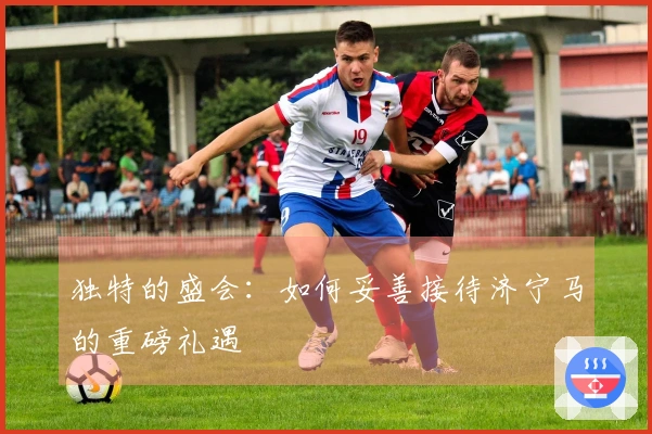 独特的盛会：如何妥善接待济宁马的重磅礼遇